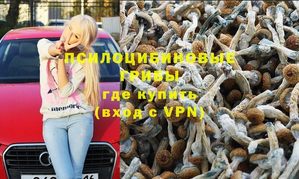 МДПВ Красноперекопск