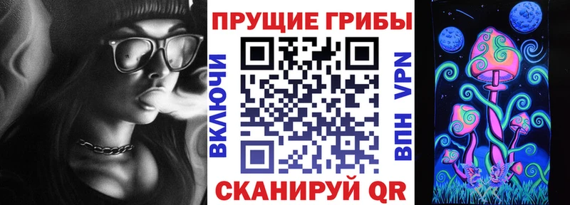 купить закладку  Чердынь  Галлюциногенные грибы прущие грибы 